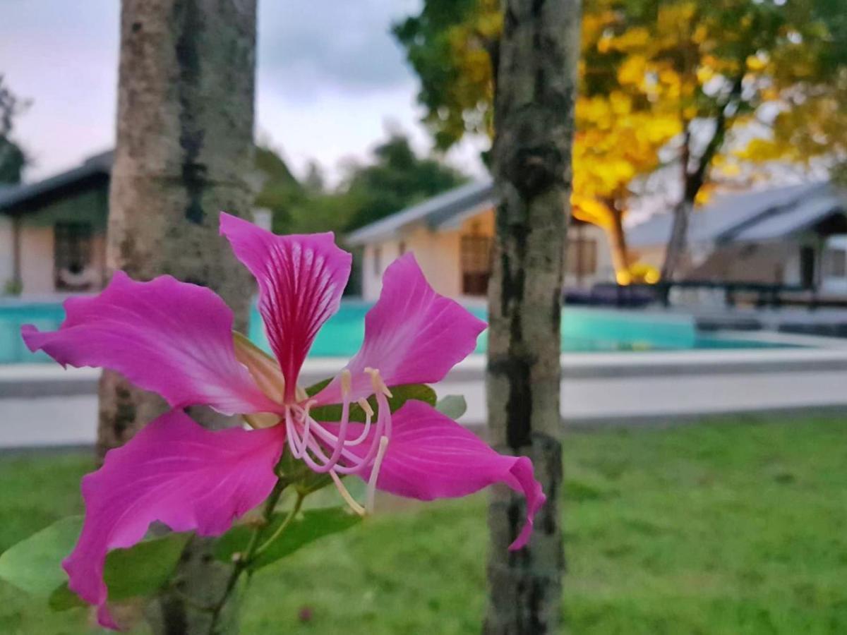 Silan Residence, Koh Phangan - An Authentic Village Experience Chaloklum Exterior foto